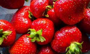 fragole