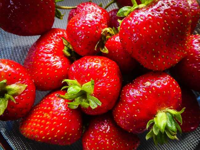 fragole