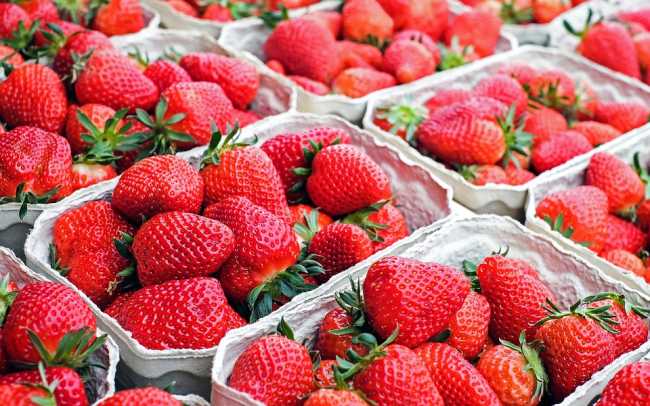 fragole
