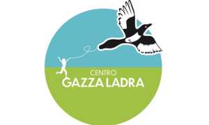 gazza ladra invorio