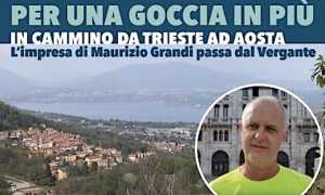 grandi avis vergante