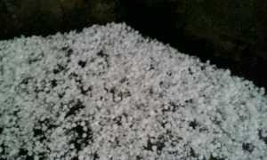 grandine varallo pombia