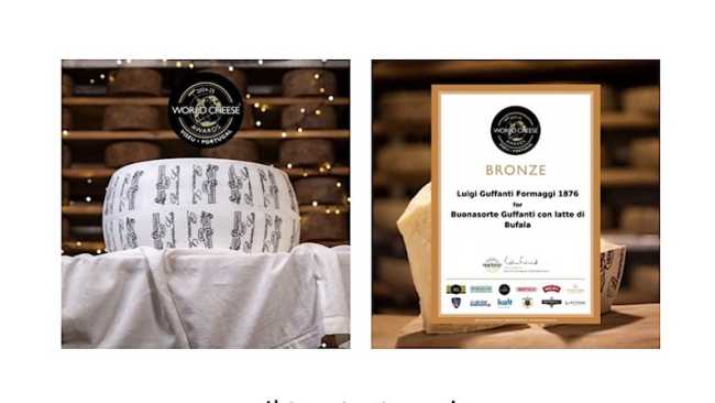 guffanti premio world cheese award 24