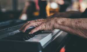 hands 1837104