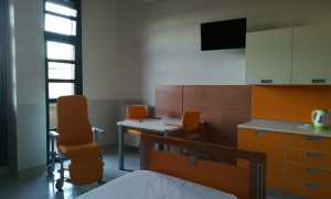 hospice 7