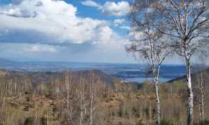 incendio vergante foto