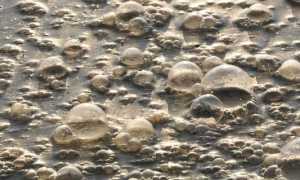 inquinamento acqua