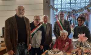 invorio 100 carolina