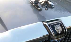 jaguarr
