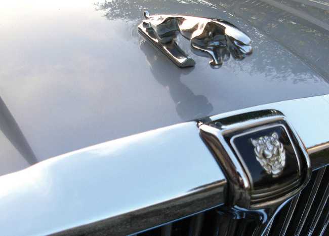 jaguarr
