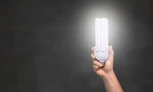lampadina
