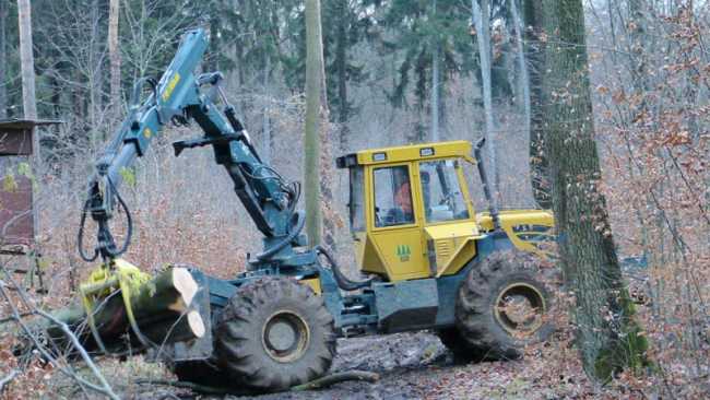 lavoratori forestali