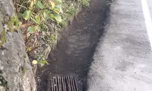 lesa caditoie pulizia