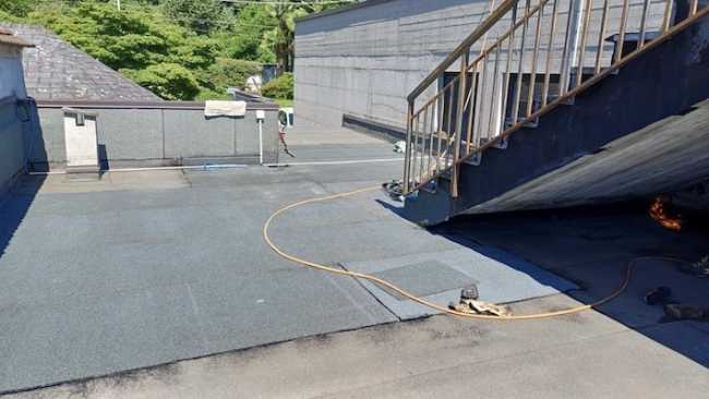 lesa cavallini interventi