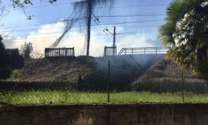 lesa incendio
