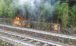 lesa incendio