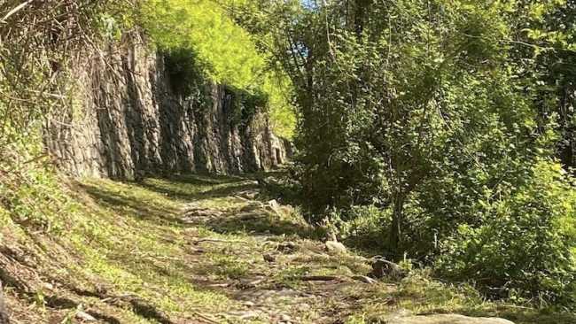 lesa interventi apr aib