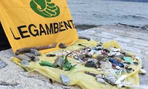 lesa puliamo mondo 24