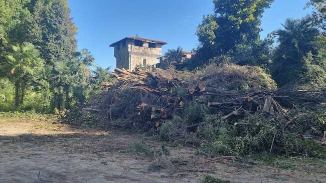 lesa sopralluogo cavallini 24