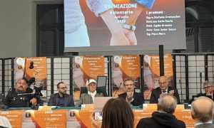 lesa volontario anno