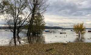 livello lago 4