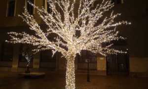luminarie 1