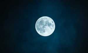 luna foto