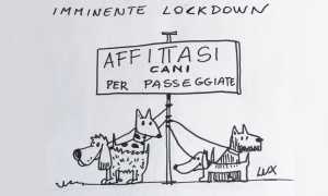 lux imminente lockdown