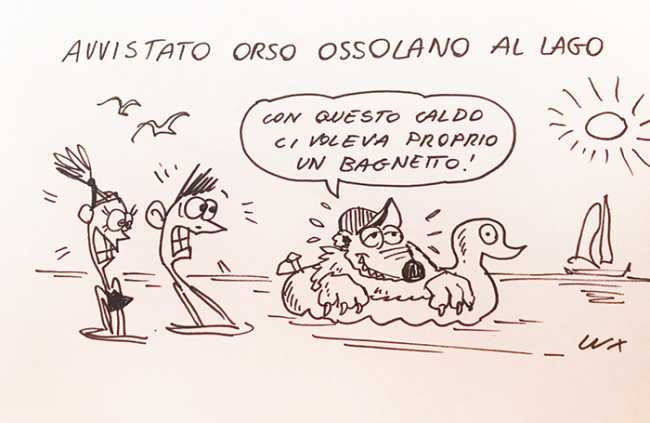 lux orso lago