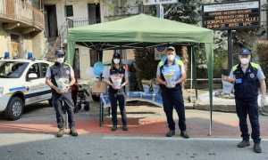 massino fiori azzurro