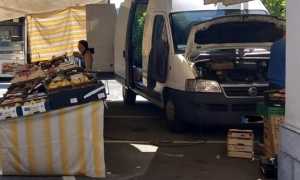 meina mercato 25