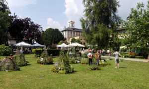 menta rosmarino bilancio