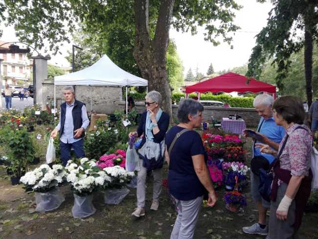 menta rosmarino sabato