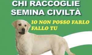 mezzomerico campagna deiezioni