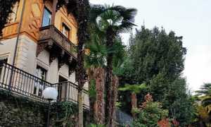 museo meina