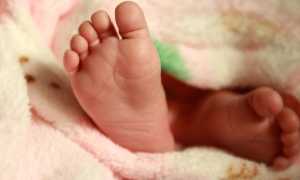 neonato
