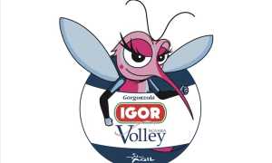 nuovo logo igor volley