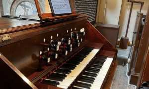 organo lesa ago 25