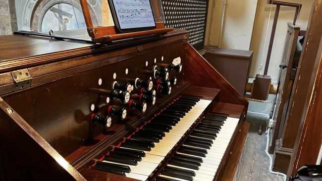 organo lesa ago 25