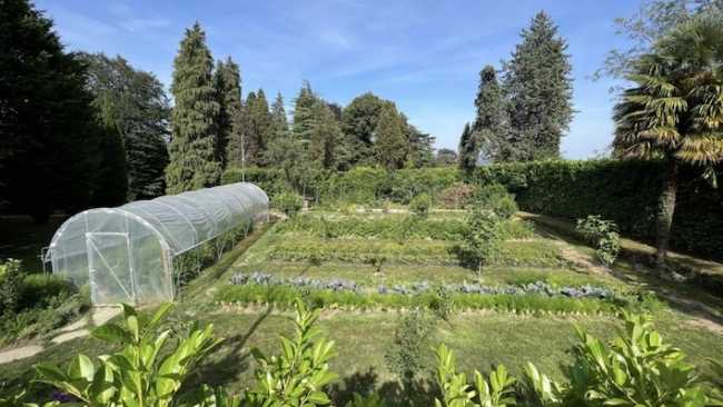 orto allegria dagnente