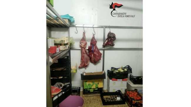 ortofrutta arona forestali