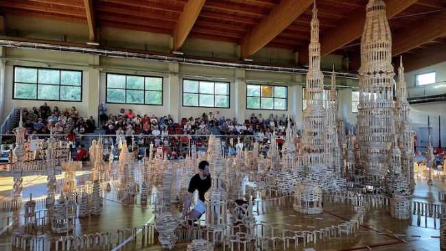 paruzzaro effimera ago 25 2