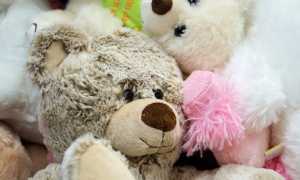 peluches foto