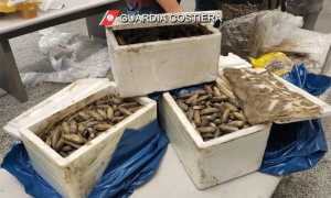 pesce sequestrato mlpx giu 25