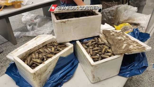 pesce sequestrato mlpx giu 25