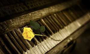 pianoforte rosa
