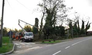 pombia intervento alberi