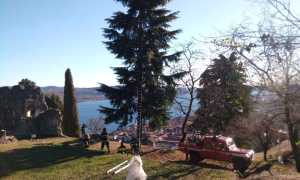 prove befana 3