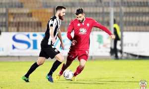 provercelli