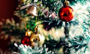 ramo albero natale